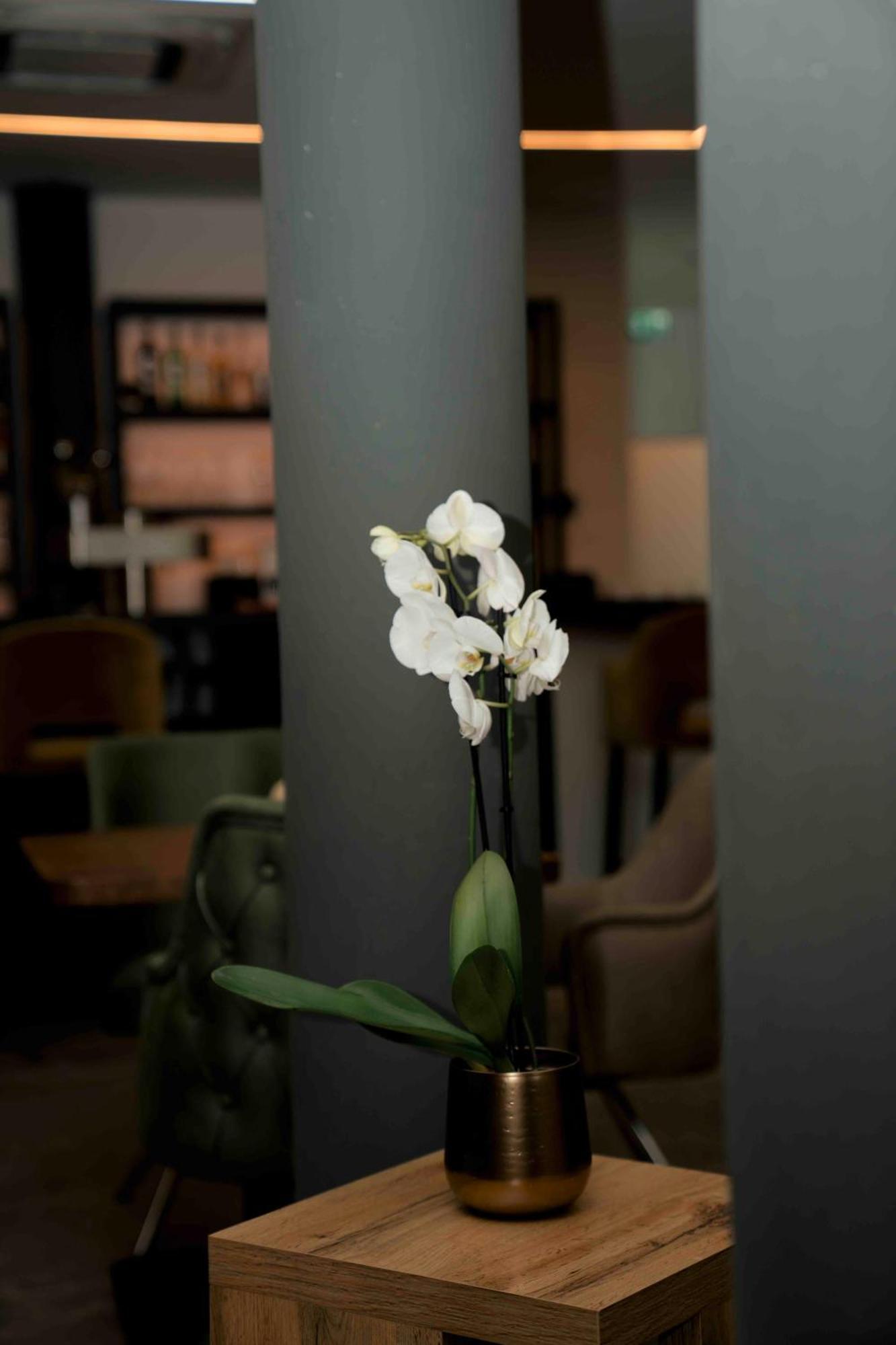 Central Hotel & Lounge Adult Only 戈斯拉尔 外观 照片